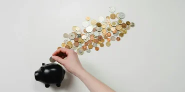 SPK, Papara Menkul Değerler'in Türkiye Emlak Katılım Bankası'na devrini onayladı
