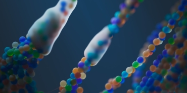 Teksas A&M Üniversitesi'nde DNA'nın moleküler evrimi araştırıldı