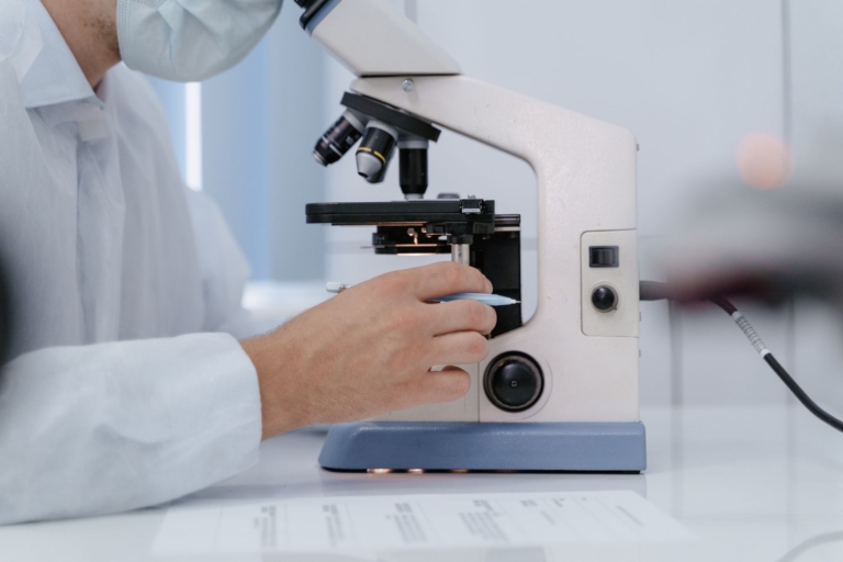 Yeni Çalışma, Demansın Protein Agregasyonunu Engelleme Yöntemini Ortaya Koydu